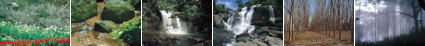 Photo Gallery nature