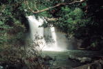 thailad photo naure