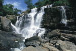 thailad photo naure