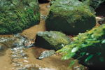 thailad photo naure